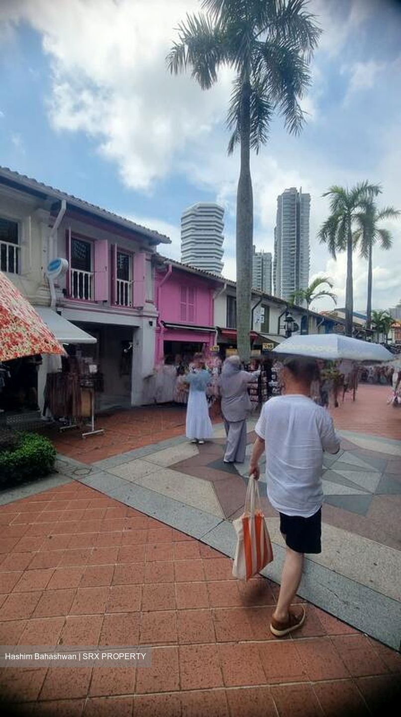 Kampong Glam Conservation Area (D7), Shop House #458160851
